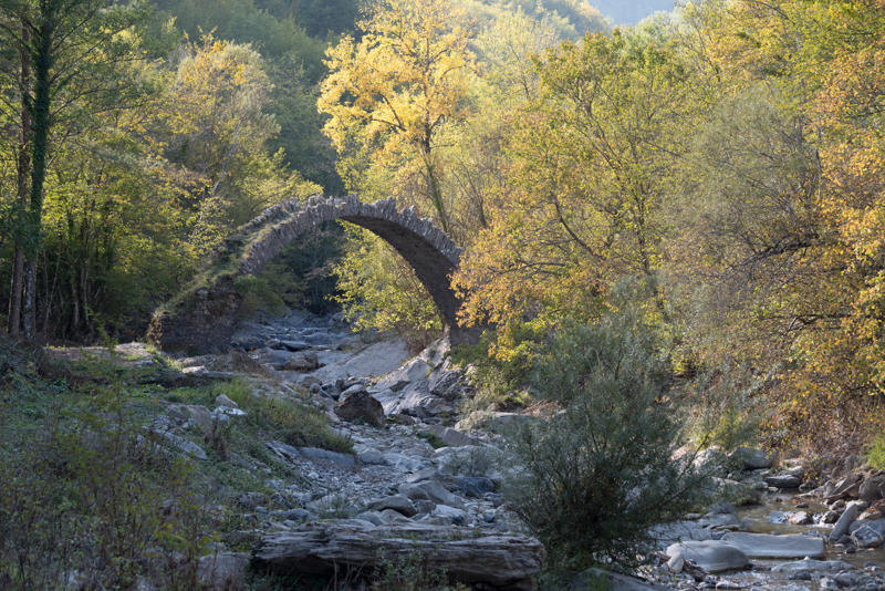 Bosco di Rezzo e Alpi Liguri