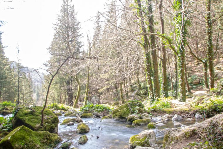 Fiume Lete in Campania