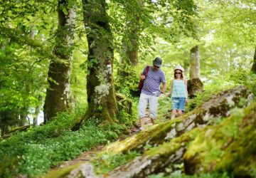 Trekking Foreste Casentinesi