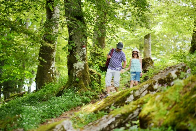 Trekking Foreste Casentinesi