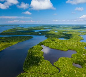 visitare-Everglades