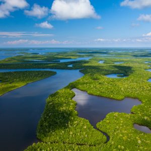 visitare-Everglades