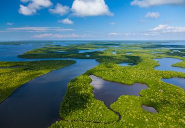 visitare-Everglades