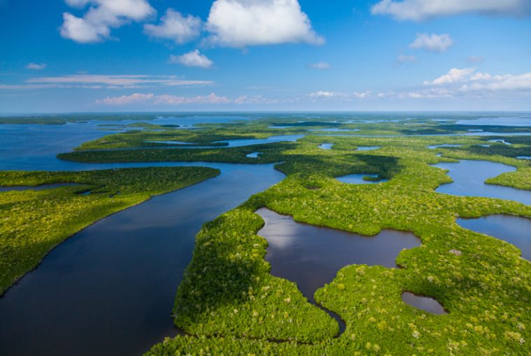 visitare-Everglades