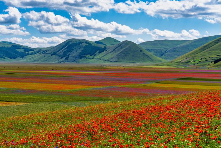 Castelluccio di Norcia