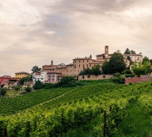 Neive panoramica vista dal basso