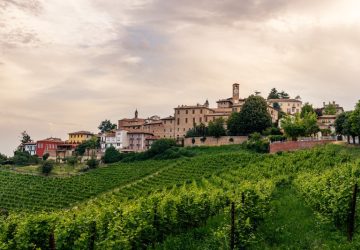 Neive panoramica vista dal basso