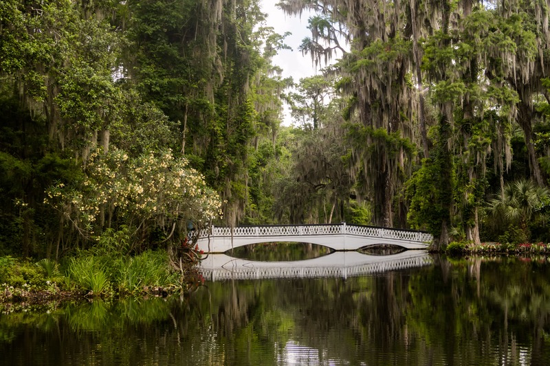 natura e lago presso Magnolia Plantation