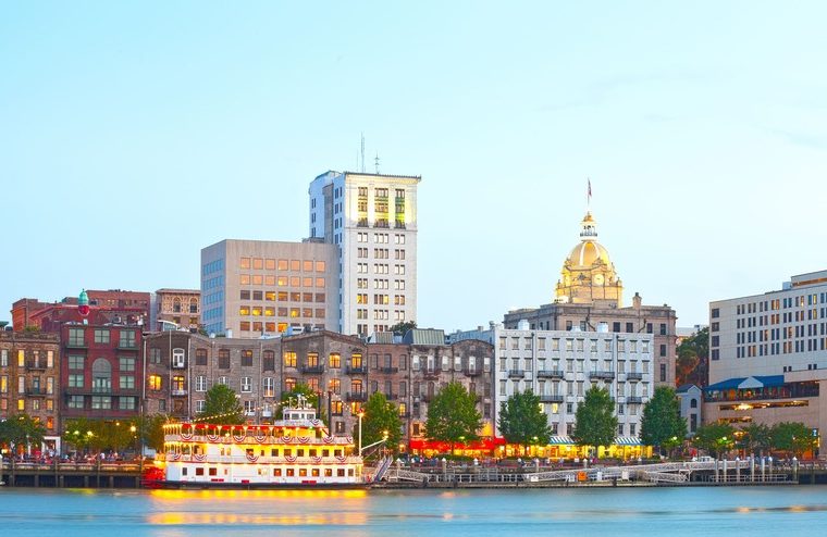 Savannah vista panoramica