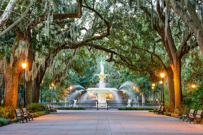 Savannah -Forsyth Park; alberi e fontana con luci calde